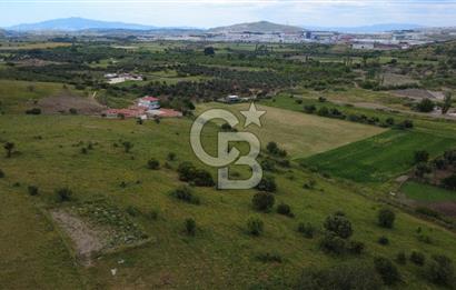 CB ODAK'TAN ALİAĞA GÜZELHİSAR ELBİRDİDE YATIRIMLIK SATILIK TARLAFavorilerime