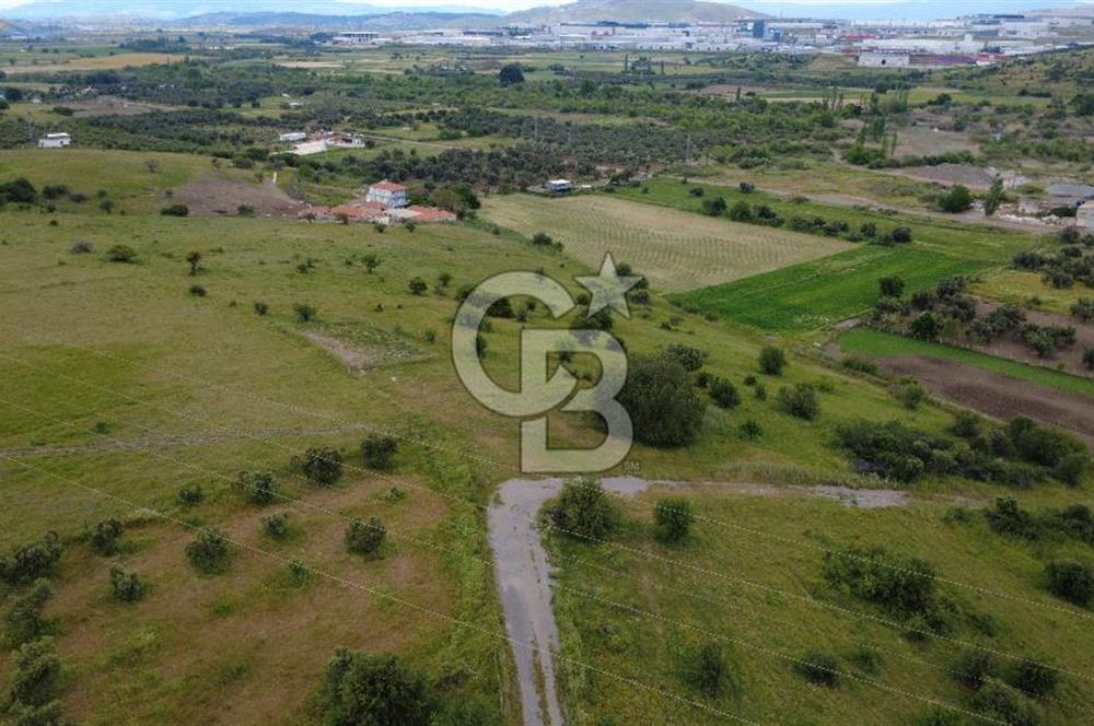 CB ODAK'TAN ALİAĞA GÜZELHİSAR ELBİRDİDE YATIRIMLIK SATILIK TARLAFavorilerime