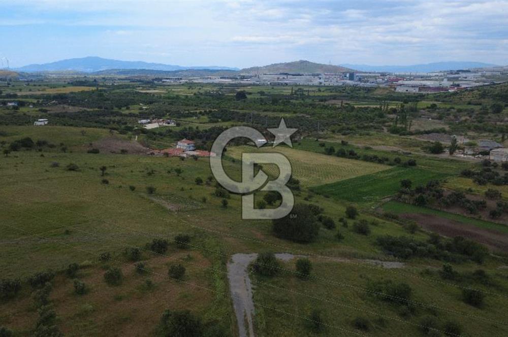 CB ODAK'TAN ALİAĞA GÜZELHİSAR ELBİRDİDE YATIRIMLIK SATILIK TARLAFavorilerime