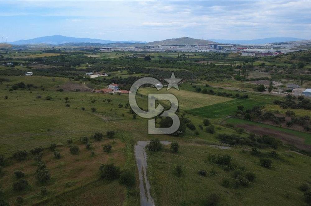 CB ODAK'TAN ALİAĞA GÜZELHİSAR ELBİRDİDE YATIRIMLIK SATILIK TARLAFavorilerime