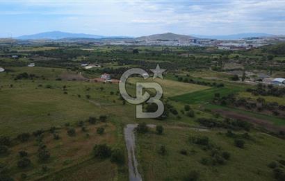 CB ODAK'TAN ALİAĞA GÜZELHİSAR ELBİRDİDE YATIRIMLIK SATILIK TARLAFavorilerime