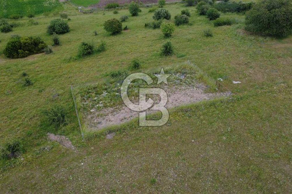 CB ODAK'TAN ALİAĞA GÜZELHİSAR ELBİRDİDE YATIRIMLIK SATILIK TARLAFavorilerime