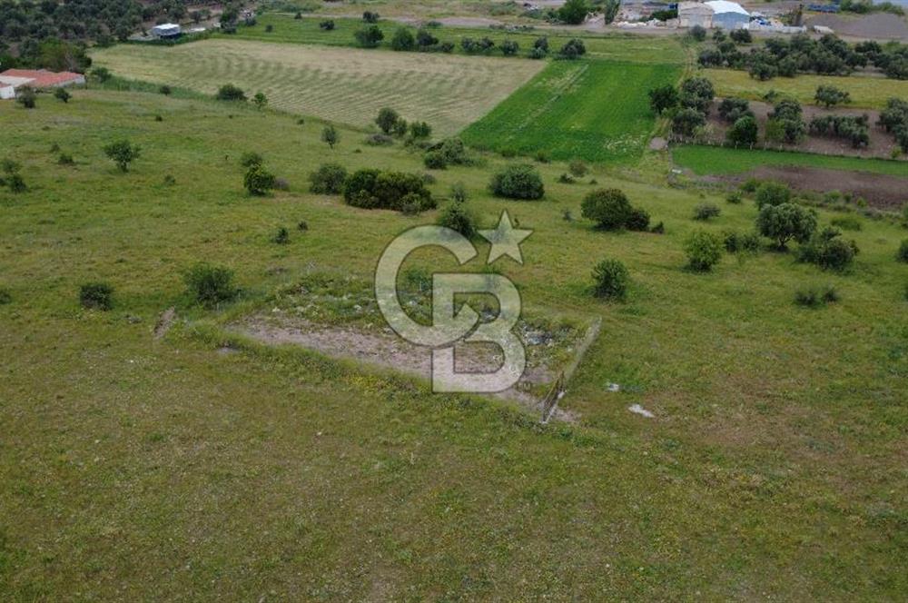 CB ODAK'TAN ALİAĞA GÜZELHİSAR ELBİRDİDE YATIRIMLIK SATILIK TARLAFavorilerime