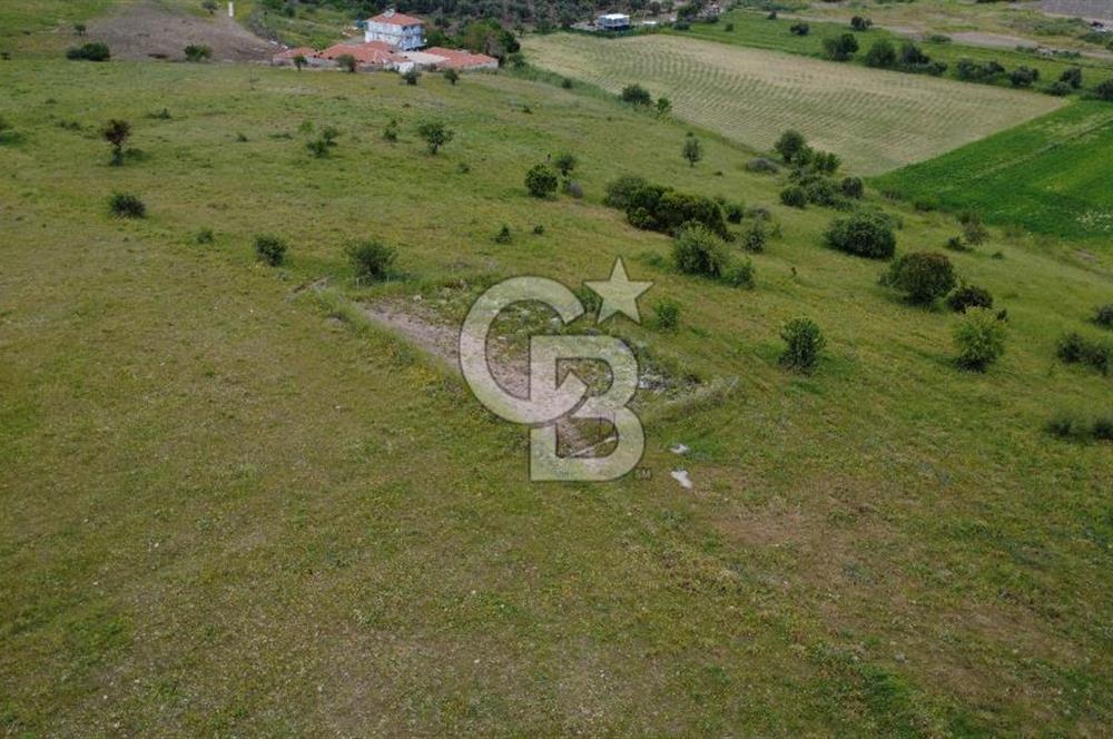 CB ODAK'TAN ALİAĞA GÜZELHİSAR ELBİRDİDE YATIRIMLIK SATILIK TARLAFavorilerime