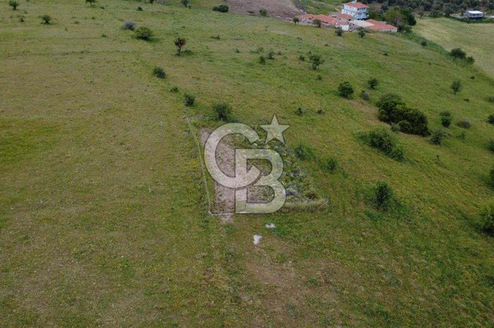 CB ODAK'TAN ALİAĞA GÜZELHİSAR ELBİRDİDE YATIRIMLIK SATILIK TARLAFavorilerime