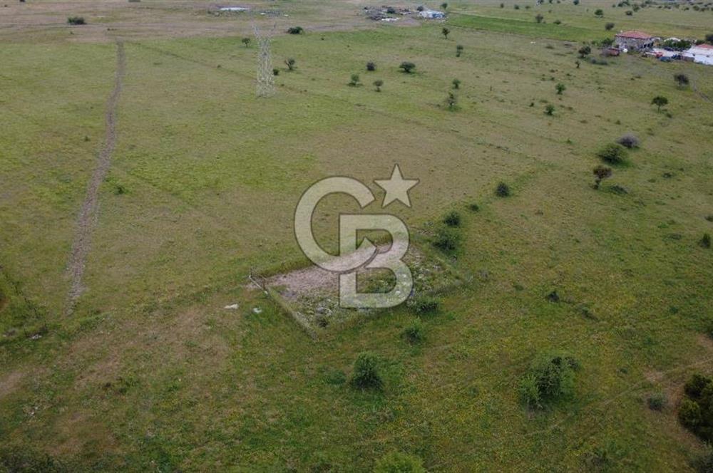 CB ODAK'TAN ALİAĞA GÜZELHİSAR ELBİRDİDE YATIRIMLIK SATILIK TARLAFavorilerime