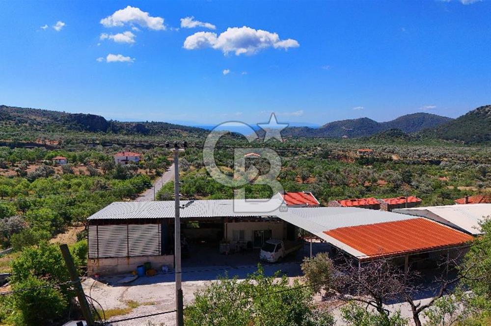 Datça Yaka'da Deniz Manzaralı Satılık 263 m² İmarlı Arsa