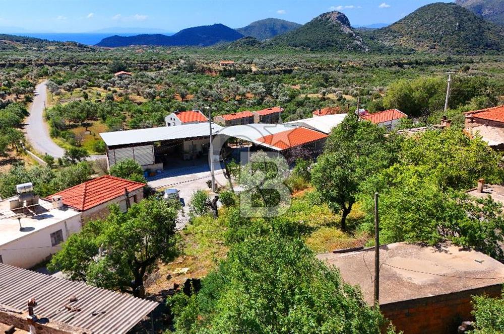 Datça Yaka'da Deniz Manzaralı Satılık 263 m² İmarlı Arsa