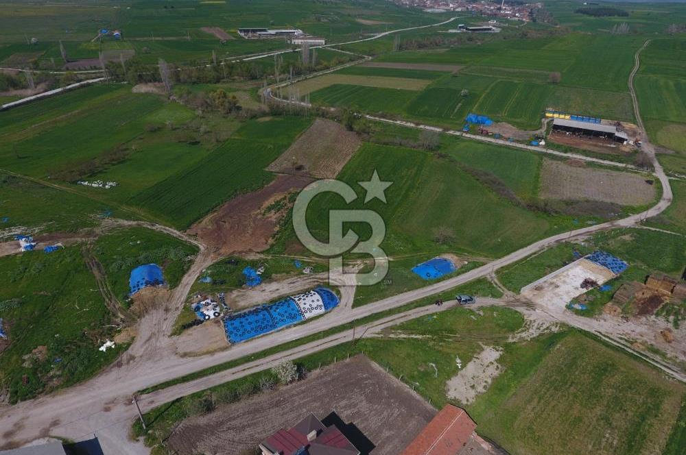 CB KİNG'DEN KEPSUT/MAHMUDİYE MAHALLESİ KONUT İMARLI SATILIK ARSA