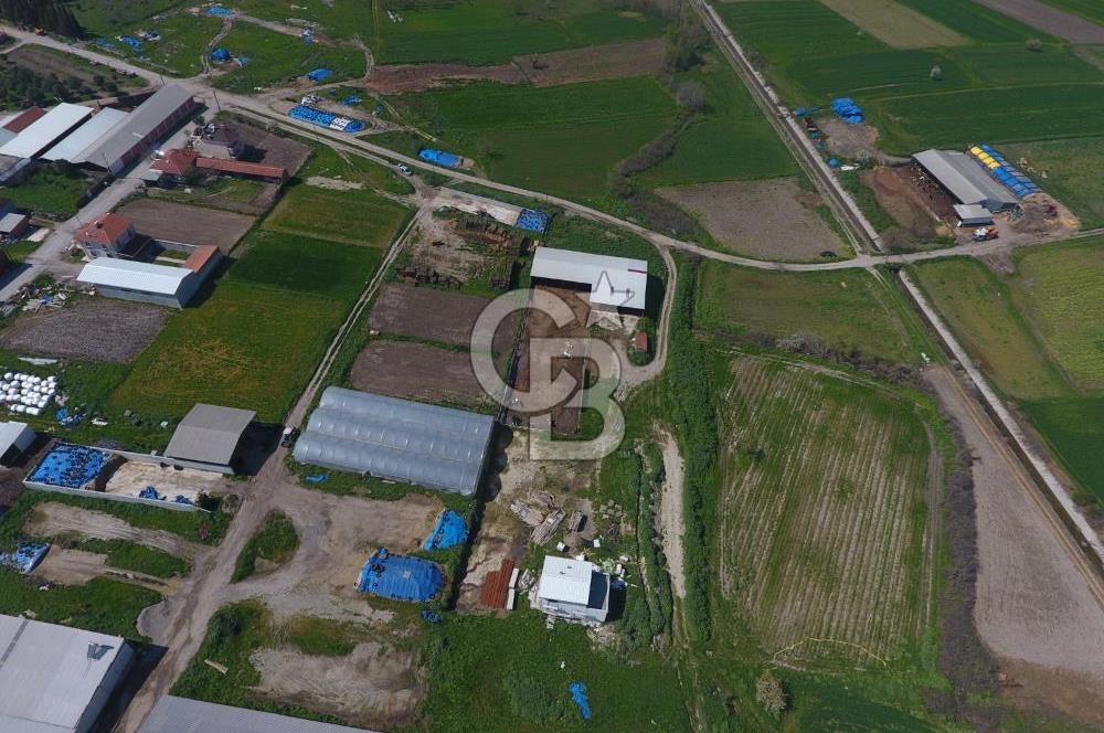 CB KİNG'DEN KEPSUT/MAHMUDİYE MAHALLESİ KONUT İMARLI SATILIK ARSA