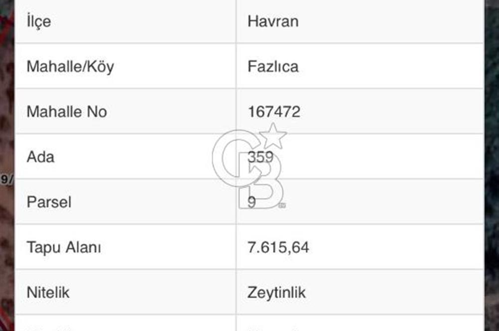 HAVRAN FAZLICA'DA KAÇIRILMAZ FIRSAT FİYAT ZEYTİNLİK