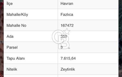 HAVRAN FAZLICA'DA KAÇIRILMAZ FIRSAT FİYAT ZEYTİNLİK