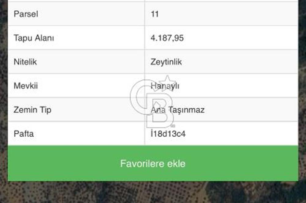 HAVRAN FAZLICA'DA FIRSAT FİYATLI ZEYTİNLİK