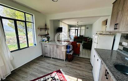 Muğla Milas içme köyü 1055 m2 içinde satılık köy evi ve bahçesi 