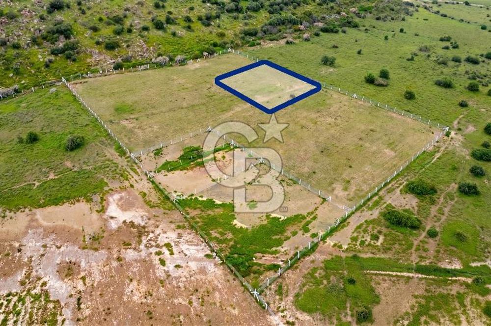 Foça Yenibağarası Mah. Satılık 262 m2 Tarla