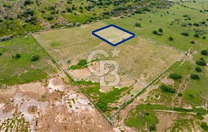 Foça Yenibağarası Mah. Satılık 262 m2 Tarla