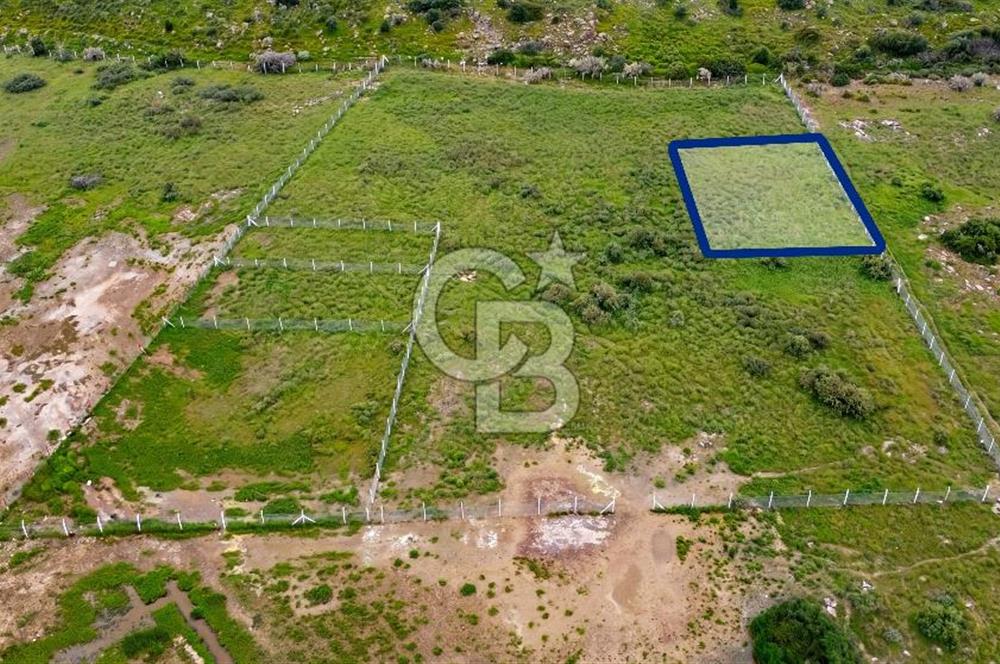 Foça Yenibağarası Mah. Satılık 262 m2 Tarla