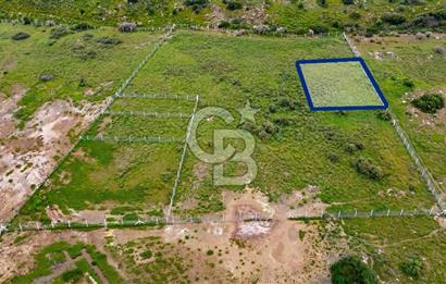 Foça Yenibağarası Mah. Satılık 262 m2 Tarla
