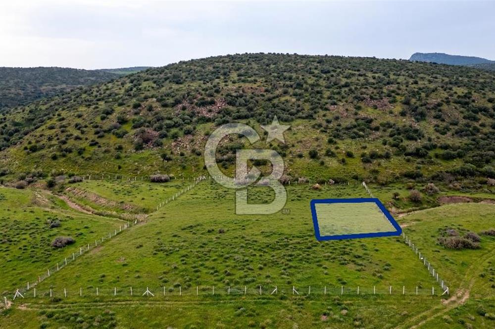 Foça Yenibağarası Mah. Satılık 262 m2 Tarla