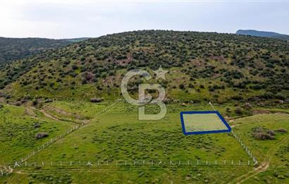 Foça Yenibağarası Mah. Satılık 262 m2 Tarla