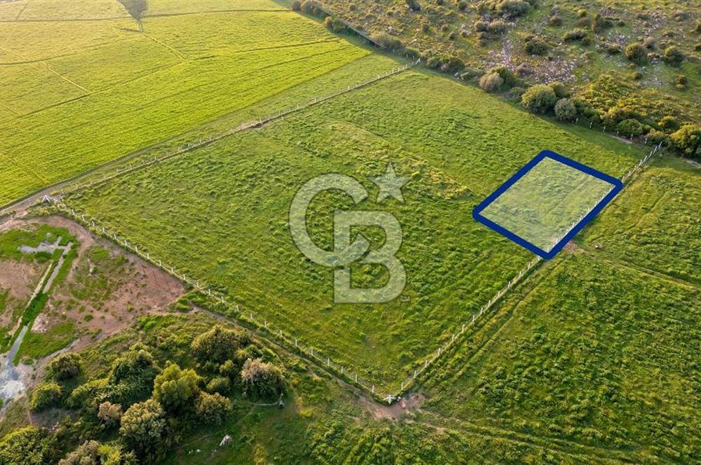 Foça Yenibağarası Mah. Satılık 262 m2 Tarla