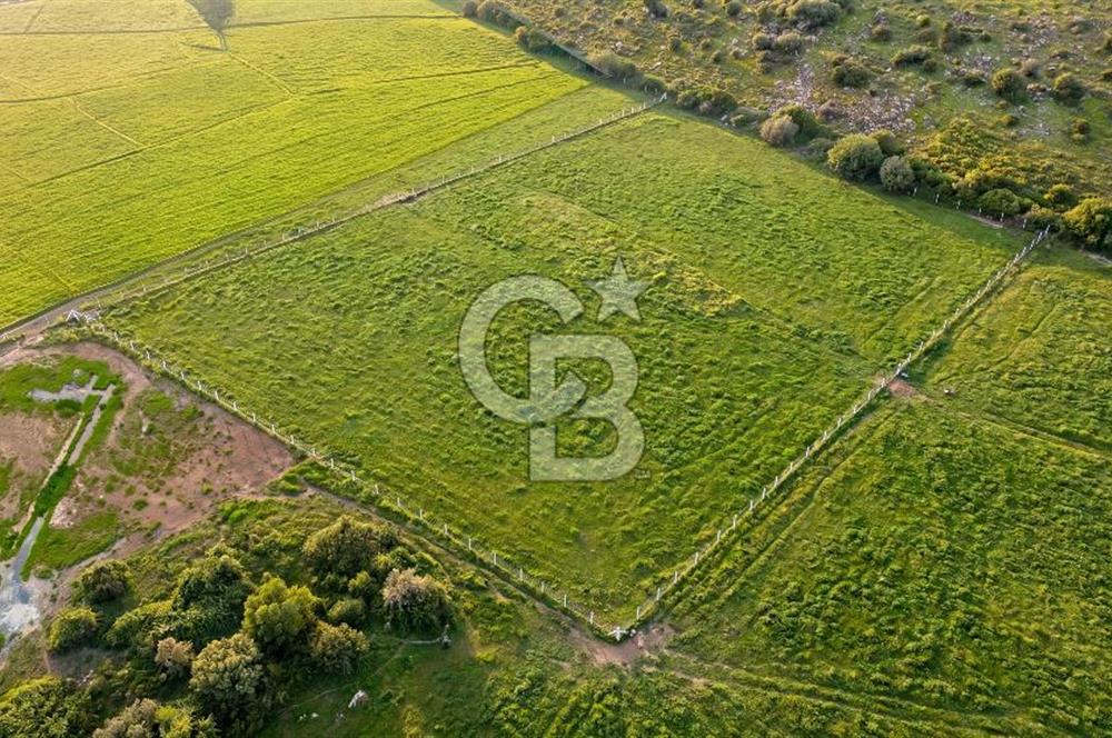 Foça Yenibağarası Mah. Satılık 262 m2 Tarla