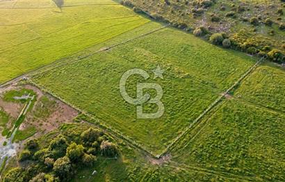 Foça Yenibağarası Mah. Satılık 262 m2 Tarla