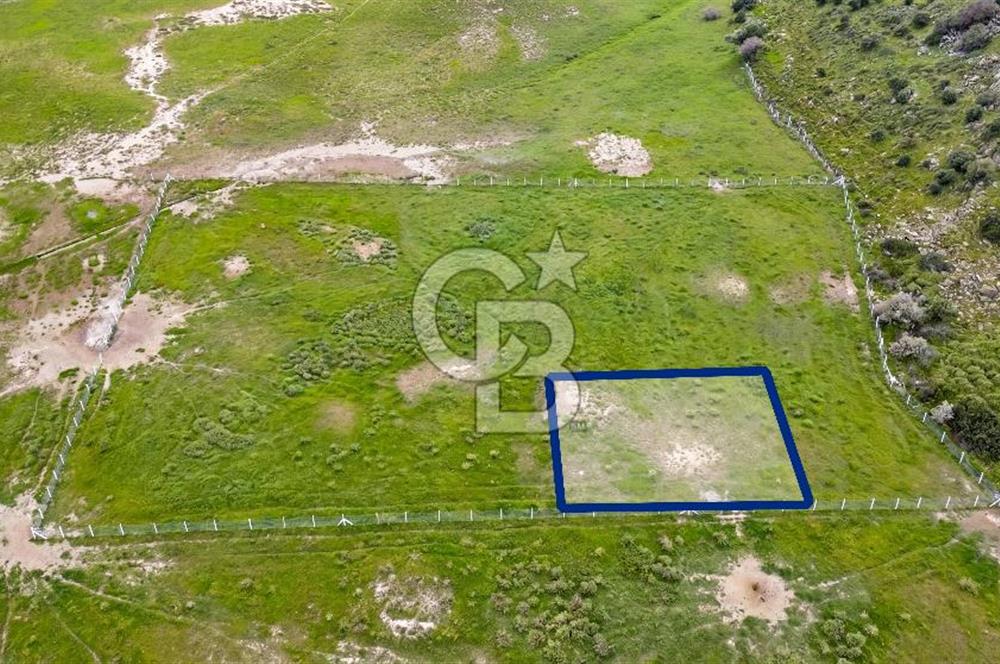 Foça Yenibağarası Mah. Satılık 262 m2 Tarla