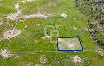 Foça Yenibağarası Mah. Satılık 262 m2 Tarla