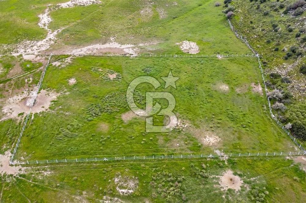Foça Yenibağarası Mah. Satılık 262 m2 Tarla