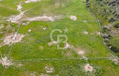 Foça Yenibağarası Mah. Satılık 262 m2 Tarla
