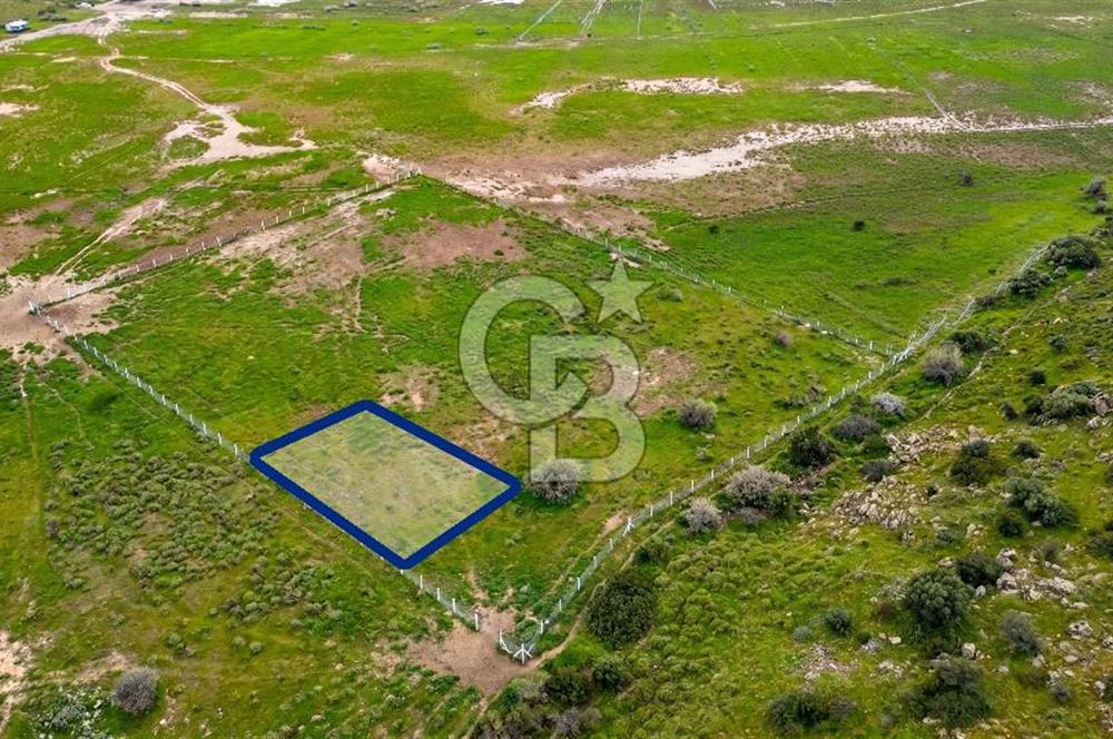 Foça Yenibağarası Mah. Satılık 262 m2 Tarla