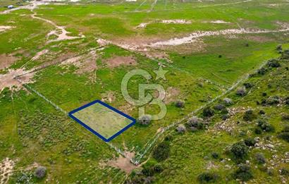 Foça Yenibağarası Mah. Satılık 262 m2 Tarla