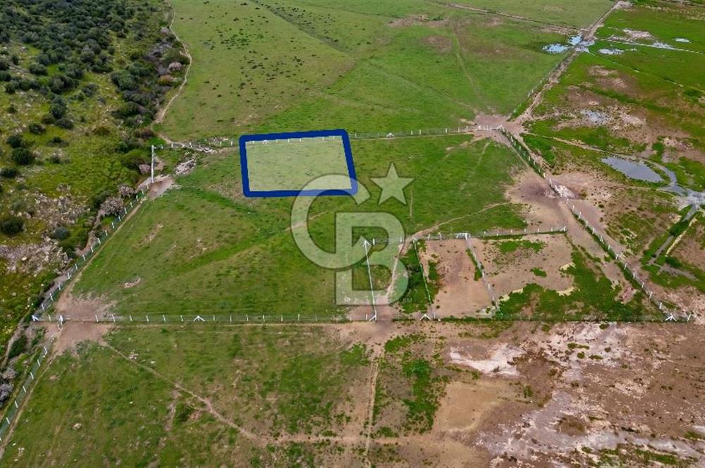 Foça Yenibağarası Mah. Satılık 262 m2 Tarla