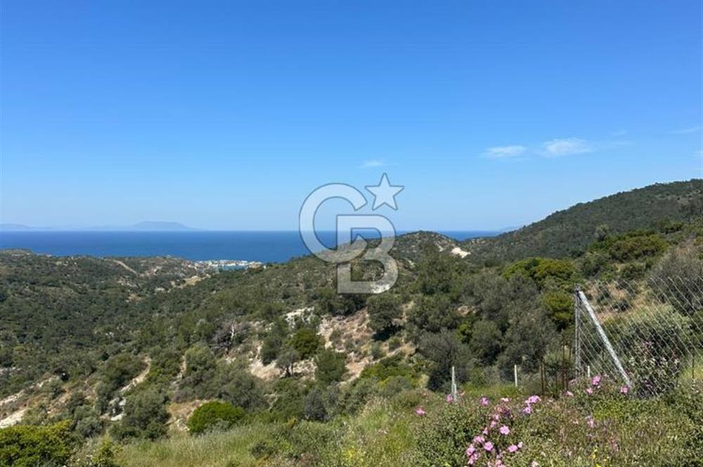 Foça Sazlıca Mevkiinde Satılık Deniz Manzaralı 237 m2 Arsa