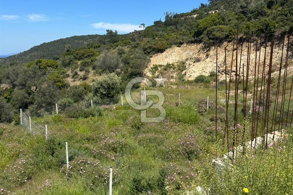 Foça Sazlıca Mevkiinde Satılık Deniz Manzaralı 237 m2 Arsa
