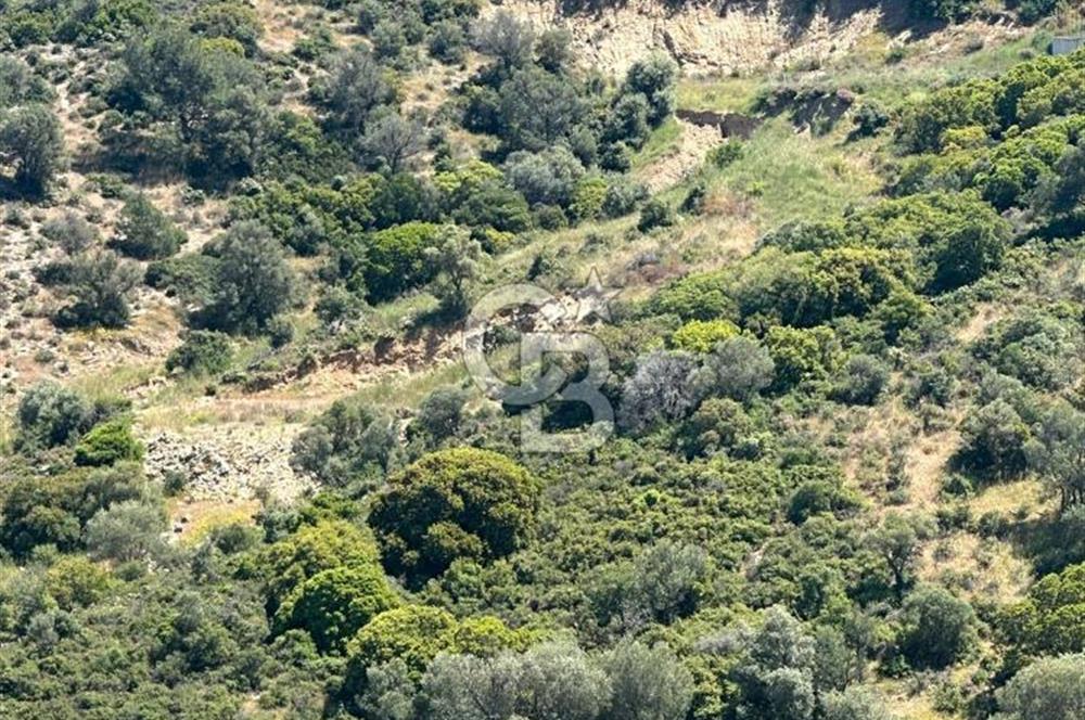 Foça Sazlıca Mevkiinde Satılık Deniz Manzaralı 237 m2 Arsa