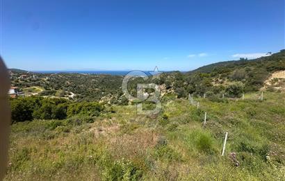 Foça Sazlıca Mevkiinde Satılık Deniz Manzaralı 237 m2 Arsa