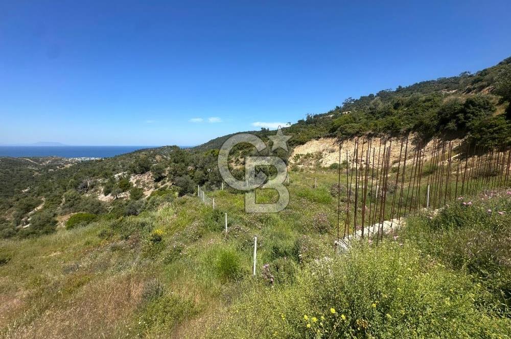 Foça Sazlıca Mevkiinde Satılık Deniz Manzaralı 237 m2 Arsa