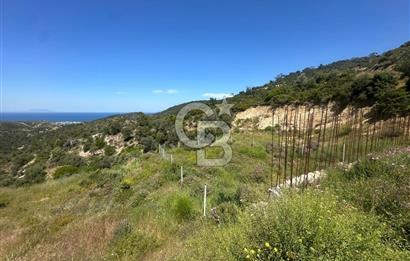 Foça Sazlıca Mevkiinde Satılık Deniz Manzaralı 237 m2 Arsa