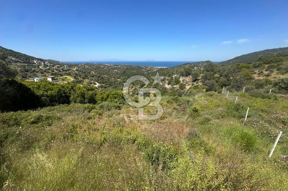 Foça Sazlıca Mevkiinde Satılık Deniz Manzaralı 237 m2 Arsa