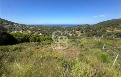 Foça Sazlıca Mevkiinde Satılık Deniz Manzaralı 237 m2 Arsa