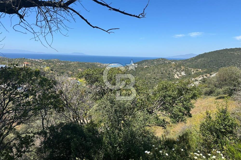 Foça Sazlıca Mevkiinde Satılık Deniz Manzaralı 228 m2 Arsa