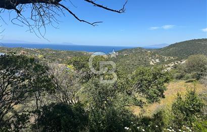 Foça Sazlıca Mevkiinde Satılık Deniz Manzaralı 228 m2 Arsa