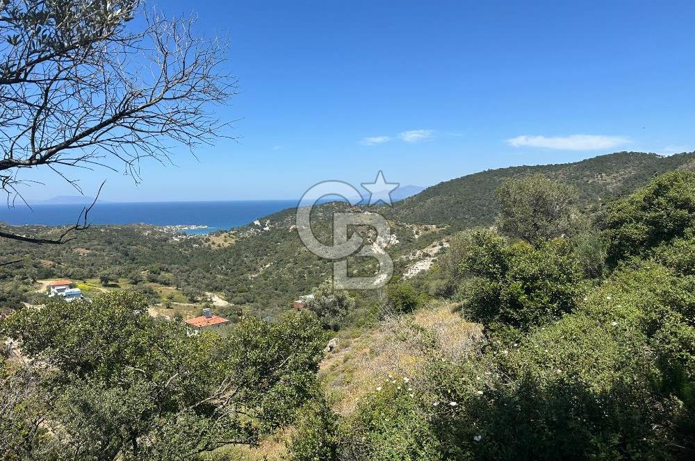 Foça Sazlıca Mevkiinde Satılık Deniz Manzaralı 228 m2 Arsa