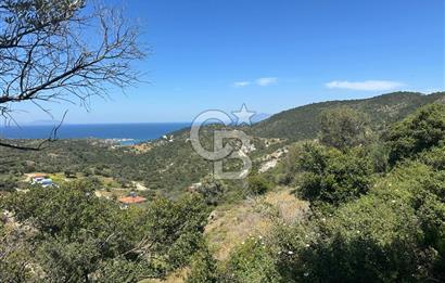 Foça Sazlıca Mevkiinde Satılık Deniz Manzaralı 228 m2 Arsa
