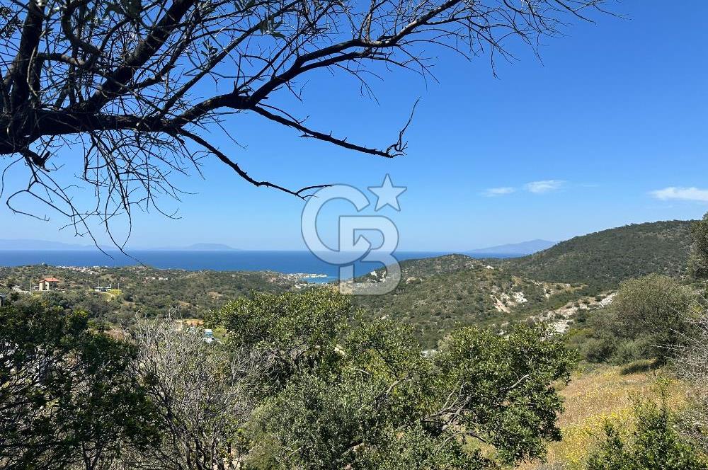 Foça Sazlıca Mevkiinde Satılık Deniz Manzaralı 228 m2 Arsa