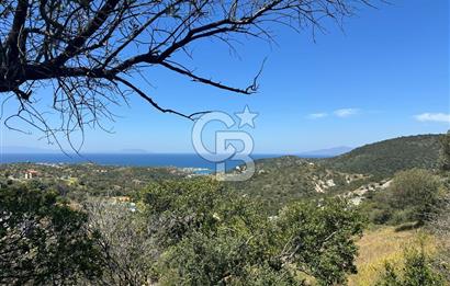 Foça Sazlıca Mevkiinde Satılık Deniz Manzaralı 228 m2 Arsa