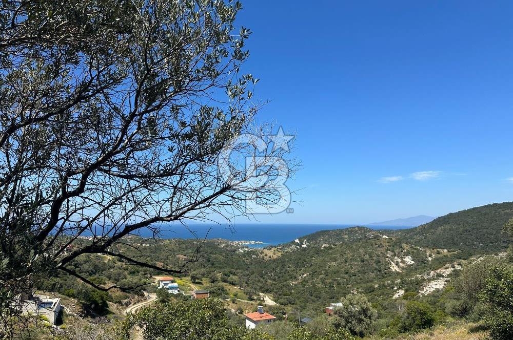 Foça Sazlıca Mevkiinde Satılık Deniz Manzaralı 228 m2 Arsa