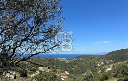 Foça Sazlıca Mevkiinde Satılık Deniz Manzaralı 228 m2 Arsa
